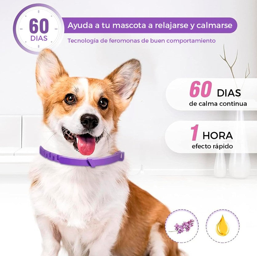 COLLAR CALMANTE PARA PERRO