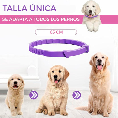 COLLAR CALMANTE PARA PERRO