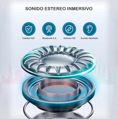 NUEVA BANDA REPRODUCTORA DE MÚSICA