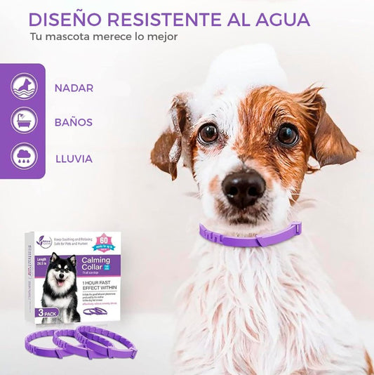 COLLAR CALMANTE PARA PERRO
